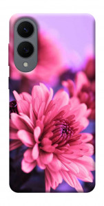 Чехол Нежная хризантема для Galaxy S25 Edge
