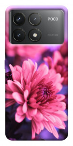 Чехол Нежная хризантема для Xiaomi Poco F6 Pro