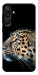 Чехол Leopard для Galaxy M16 5G