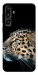 Чехол Leopard для Galaxy F16 5G