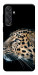 Чехол Leopard для Galaxy M55