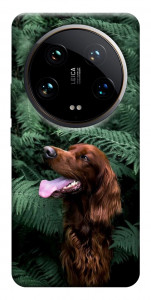 Чохол Собака у зелені для Xiaomi 14 Ultra