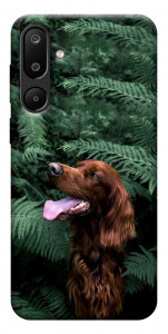Чехол Собака в зелени для Galaxy M16 5G
