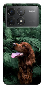Чехол Собака в зелени для Xiaomi Poco F6 Pro