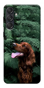 Чехол Собака в зелени для Galaxy M55