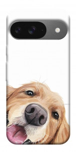 Чехол Funny dog для Google Pixel 10 Pro