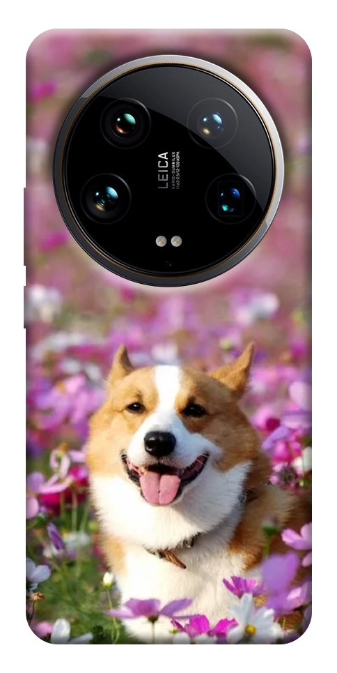 Чохол Коргі в квітах для Xiaomi 14 Ultra