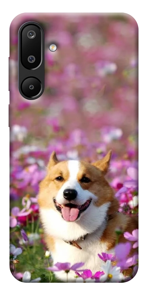 Чехол Корги в цветах для Galaxy M16 5G