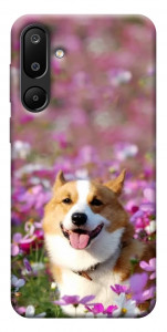 Чехол Корги в цветах для Galaxy M16 5G
