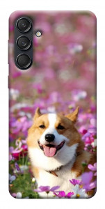 Чехол Корги в цветах для Galaxy M55