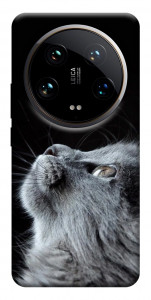 Чохол Cute cat для Xiaomi 14 Ultra