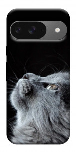 Чехол Cute cat для Google Pixel 10 Pro