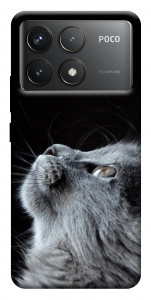 Чехол Cute cat для Xiaomi Poco F6 Pro