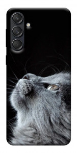 Чехол Cute cat для Galaxy M55