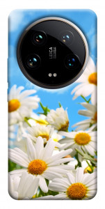 Чохол Ромашкове поле для Xiaomi 14 Ultra