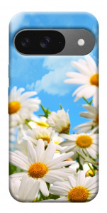 Чохол Ромашкове поле для Google Pixel 10 Pro