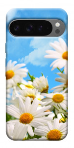 Чохол Ромашкове поле для Google Pixel 10 Pro XL