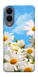 Чехол Ромашковое поле для Galaxy S25 Edge