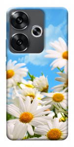 Чехол Ромашковое поле для Xiaomi Poco F6