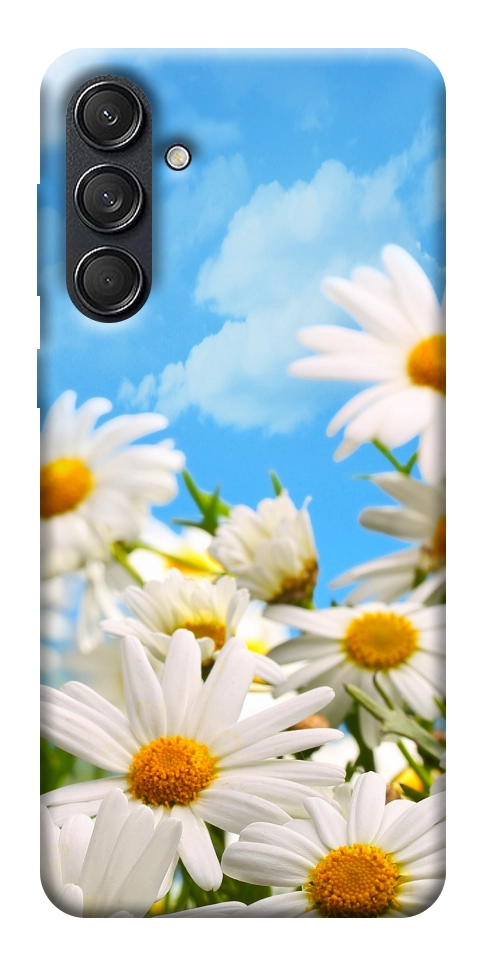 Чехол Ромашковое поле для Galaxy M55