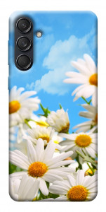 Чехол Ромашковое поле для Galaxy M55