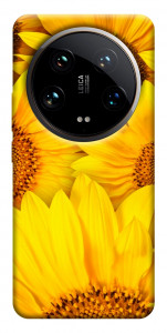 Чохол Букет соняшників для Xiaomi 14 Ultra