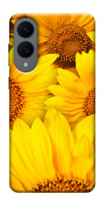 Чехол Букет подсолнухов для Galaxy S25 Edge