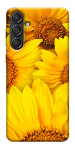 Чехол Букет подсолнухов для Galaxy M55