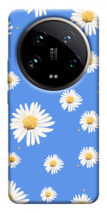 Чохол Chamomile pattern для Xiaomi 14 Ultra