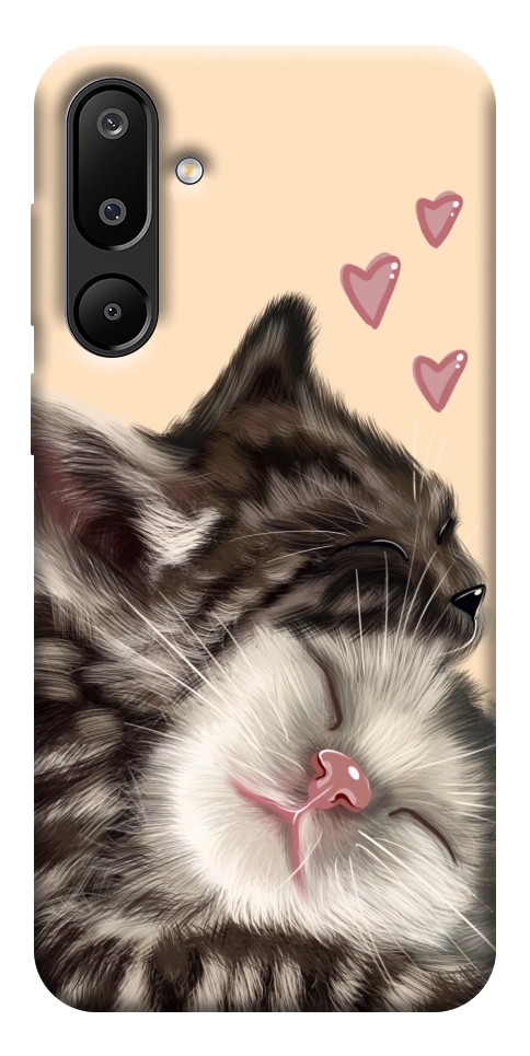 Чехол Cats love для Galaxy M16 5G