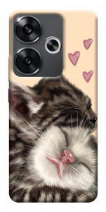 Чехол Cats love для Xiaomi Poco F6
