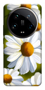 Чохол Ароматна ромашка для Xiaomi 14 Ultra