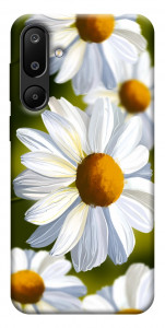 Чехол Ароматная ромашка для Galaxy M16 5G