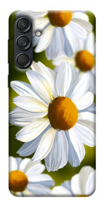 Чехол Ароматная ромашка для Galaxy M55