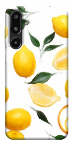 Чохол Lemons для Galaxy F16 5G