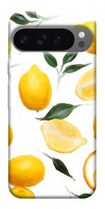 Чохол Lemons для Google Pixel 10 Pro XL