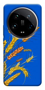 Чохол Колоски для Xiaomi 14 Ultra