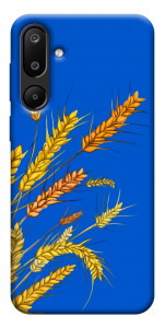 Чехол Колоски для Galaxy M16 5G