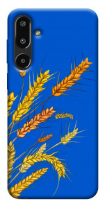 Чохол Колоски для Galaxy F16 5G