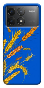 Чехол Колоски для Xiaomi Poco F6 Pro