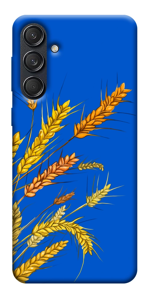 Чехол Колоски для Galaxy M55