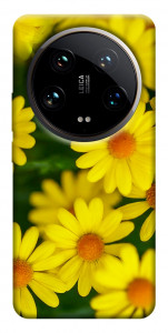 Чехол Yellow chamomiles для Xiaomi 14 Ultra