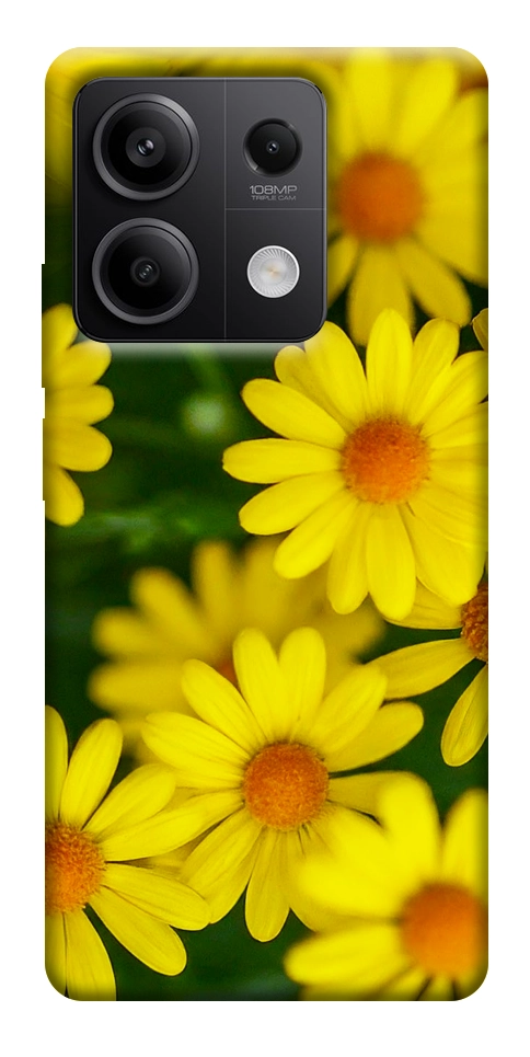 Чохол Yellow chamomiles для Xiaomi Redmi Note 13 5G