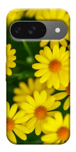 Чохол Yellow chamomiles для Google Pixel 10 Pro