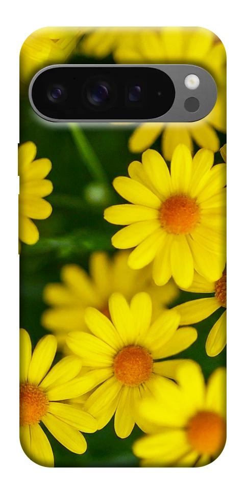 Чохол Yellow chamomiles для Google Pixel 10 Pro XL