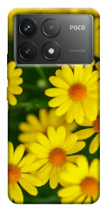 Чехол Yellow chamomiles для Xiaomi Poco F6 Pro