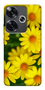 Чехол Yellow chamomiles для Xiaomi Poco F6