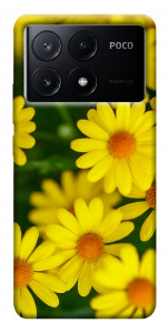 Чехол Yellow chamomiles для Xiaomi Poco X6 Pro