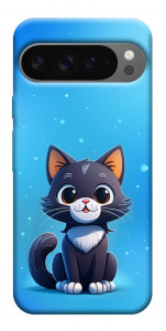 Чохол Кошеня для Google Pixel 10 Pro XL