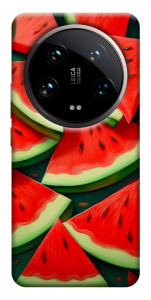 Чохол Ломтики кавуна для Xiaomi 14 Ultra